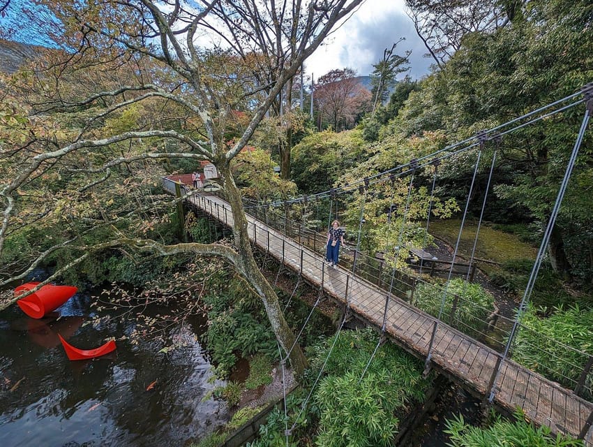 Tokyo private tour by car with pick up - Private Car Logistics: Pickup in Tokyo (and Hakone) without the stress