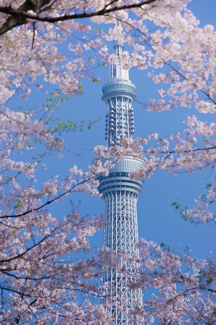 Tokyo private tour by car with pick up - Sensō-ji Temple: Asakusa’s iconic start with a guided first hour