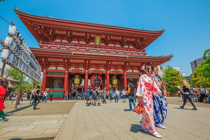 Tokyo Private Tour by Vehicle with English-Speaking Chauffeur - Why a Private Chauffeur Makes Tokyo Feel Smaller