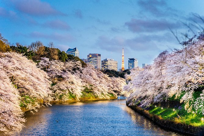 Tokyo Private Tour by Vehicle with English-Speaking Chauffeur - Getting Picked Up in Akasaka, Then Getting Out of Your Own Way