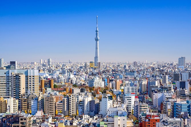Tokyo Private Tour by Vehicle with English-Speaking Chauffeur - The Standard Route, Explained Like a Friend Would