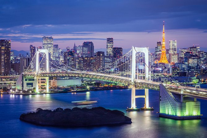 Tokyo Private Tour by Vehicle with English-Speaking Chauffeur - Comfort and Practical Stuff That Matters in a 7 to 9 Hour Day