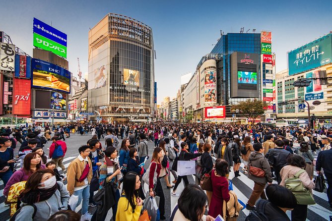 Tokyo Private Tour by Vehicle with English-Speaking Chauffeur - Where This Tour Might Not Be Perfect for You