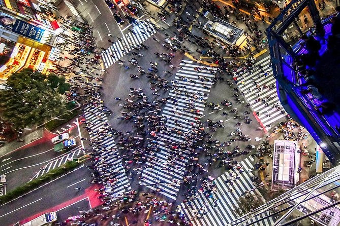 Tokyo Private Tour by Vehicle with English-Speaking Chauffeur - Should You Book This Tokyo Private Tour?