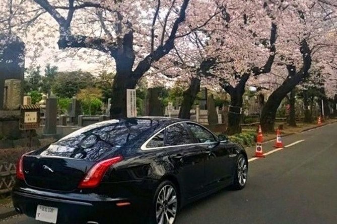 Tokyo Private Tour by Vehicle with English-Speaking Chauffeur - Price and Value: What $468.91 Per Group Actually Buys