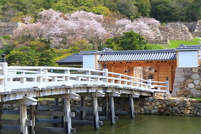 Tokyo Private Tour! Edo Castle & Imperial Palace East Gardens - Heat and walking pace: how to stay comfortable on a two-hour tour