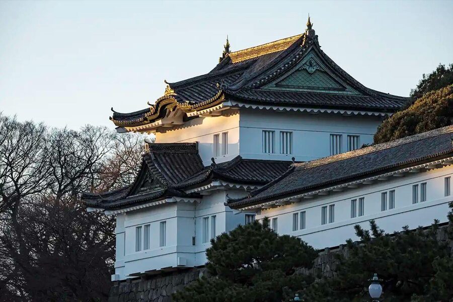 Tokyo Private Tour English Pro Guide By Luxury Vehicle - Price and value for a 10-hour private group day