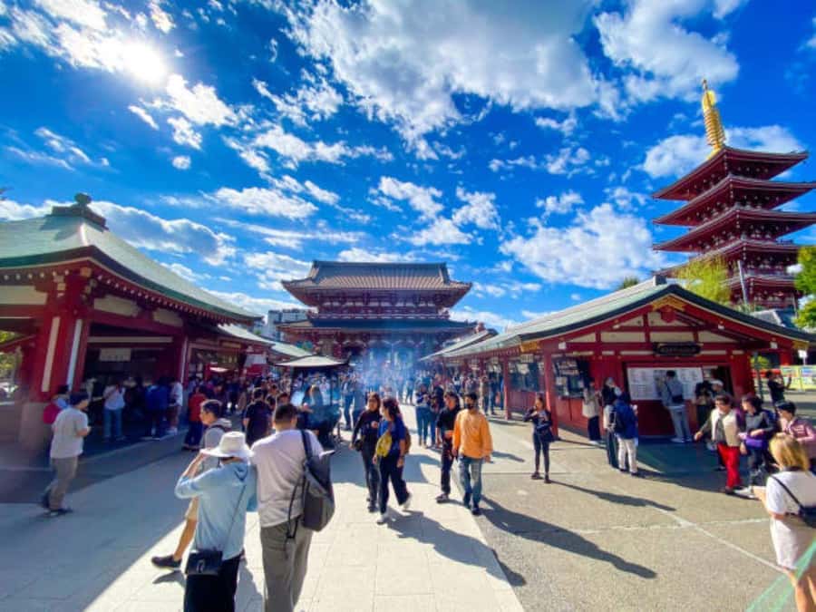 Tokyo Private Tour English Pro Guide By Luxury Vehicle - Private Tokyo, tailored to how you like to sightsee