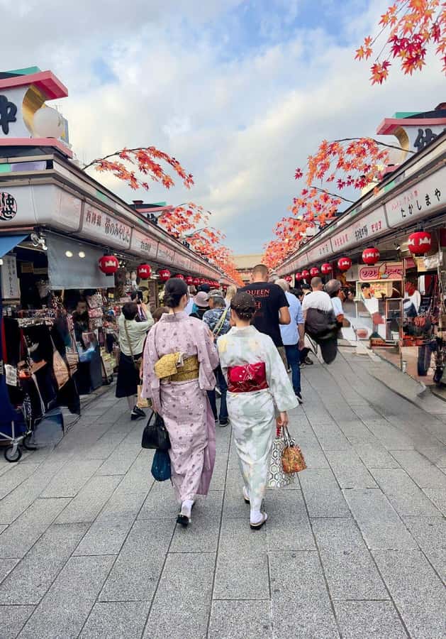 Tokyo Private Tour English Pro Guide By Luxury Vehicle - Ginza and Tsukiji Fish Market: modern Tokyo and food options