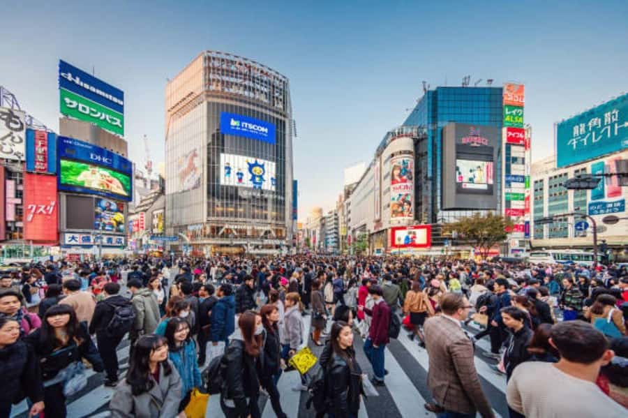 Tokyo Private Tour English Pro Guide By Luxury Vehicle - When the guide isn’t with you: Skytree, Roppongi Hills, and Imperial Palace