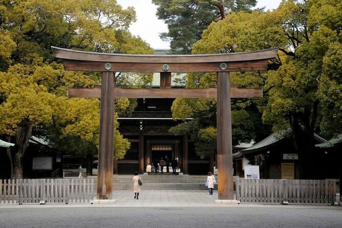 Tokyo Private Tour in Luxury Vehicle with English Guide - Senso-ji and Tsukiji Outer Market: two Tokyo icons in one run