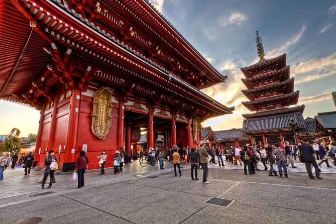 Tokyo Private Tour in Luxury Vehicle with English Guide - Shinjuku Gyoen and Meiji Shrine: green pauses that actually refresh you
