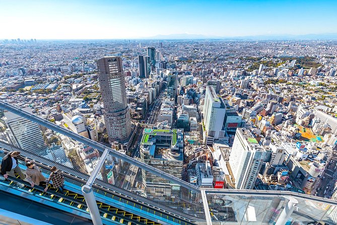 Tokyo Private Tour: One Day Highlights and Optional Shibuya Sky - Key Things You’ll Notice on This Day Tour