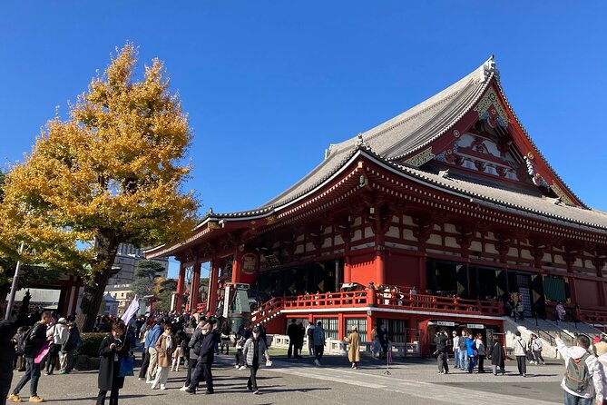 Tokyo Private Tour: One Day Highlights and Optional Shibuya Sky - Shibuya Crossing and Hachiko: Where Tokyo Feels Like a Movie