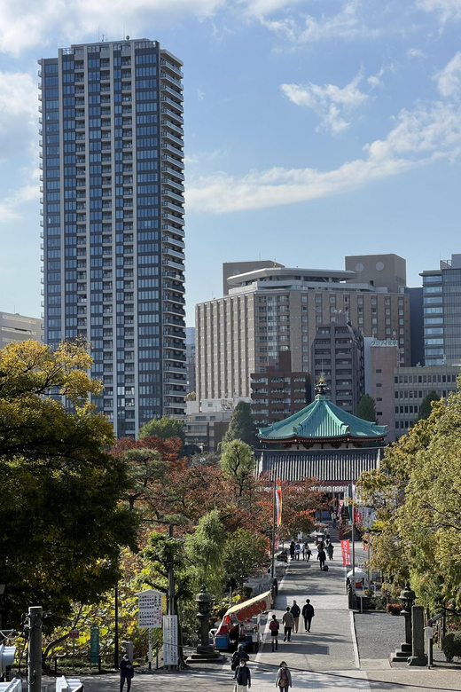 TOKYO Private visit guide Speaking French - Shopping time that saves hours of trial and error