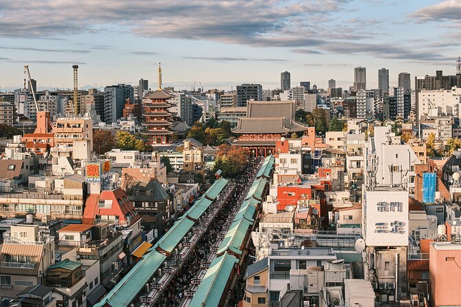 Tokyo: Private Walking Tour with a Local Guide - Private Tokyo with a guide, not a checklist