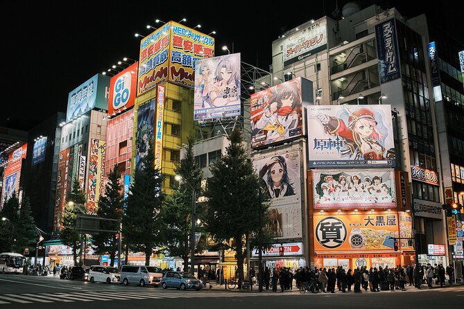 Tokyo: Private Walking Tour with a Local Guide - Akihabara, tech and pop culture without the confusion