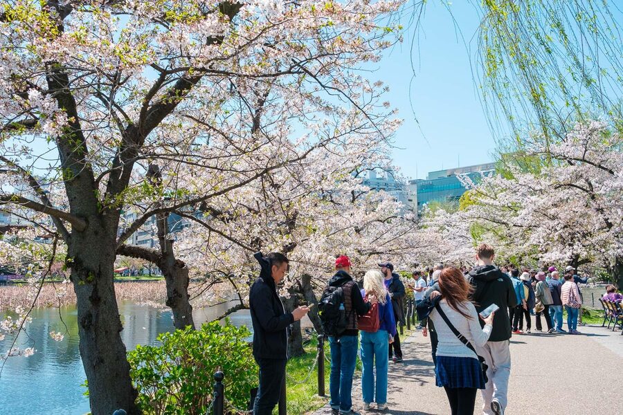 Tokyo: Private Walking Tour with a Local Guide - Tsukiji Outer Market and Ginza, snack stops with real structure