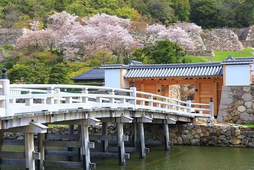 Tokyo: Pvt. Tour - Edo Castle & Imperial Palace East Gardens - Price and value: what you’re really paying for