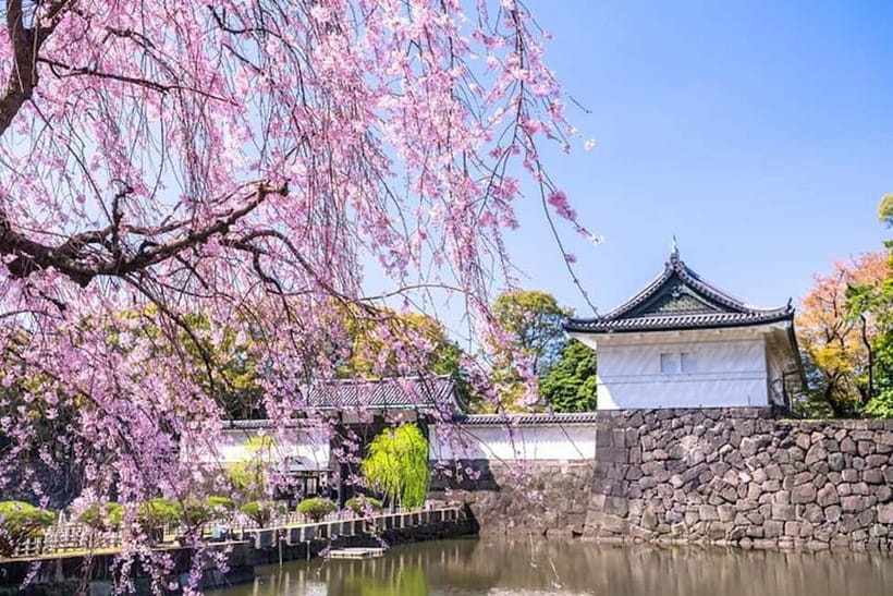 Tokyo: Pvt. Tour - Edo Castle & Imperial Palace East Gardens - Edo Castle Main Gate and the scale of shogun-era power