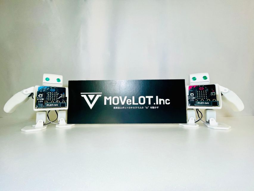 Tokyo: Robot Piloting Attraction Ticket - What to bring, and the one safety rule you must respect