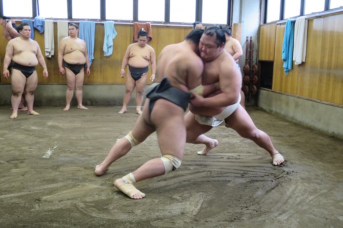 Tokyo Ryogoku Sumo Morning Practice + Photo Shoot with Wrestlers - Key Things I’d Focus On Before Booking