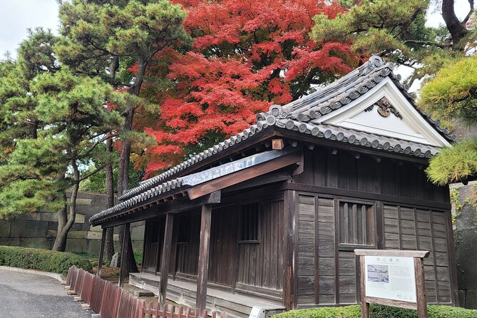 Tokyo's Imperial Palace & Nihonbashi Tour - Starting at Tokyo Station: easy to find, easy to transition