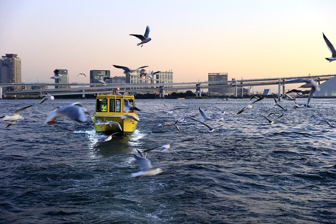 Tokyo: Scenic Bay Cruise with Local Guide on Private Boat - Under Rainbow Bridge, plus that Tokyo statue moment