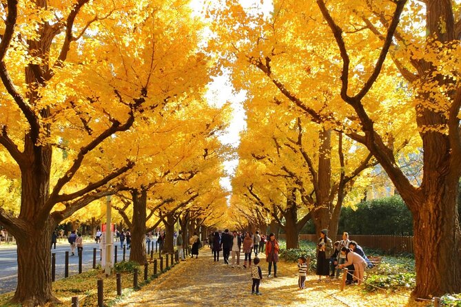 Tokyo Self-Guided Audio Tour - How the Tokyo self-guided audio guide actually works