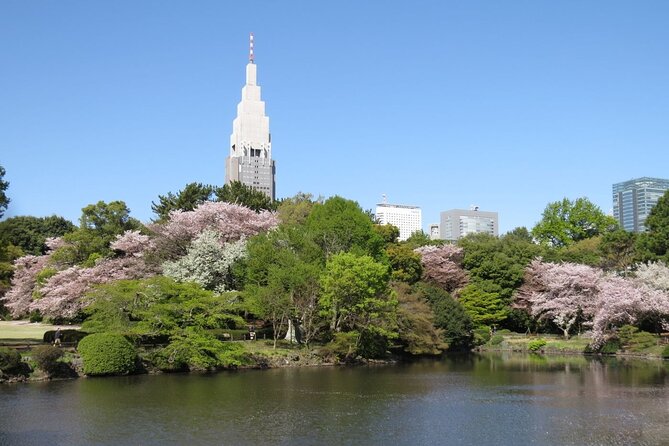 Tokyo Self-Guided Audio Tour - Shinjuku Gyoen and Tokyo’s government views: gardens and city scale