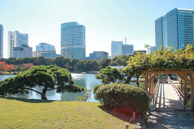 Tokyo Self-Guided Audio Tour - Meiji Jingu to Shibuya Crossing: forest calm, then switch to speed