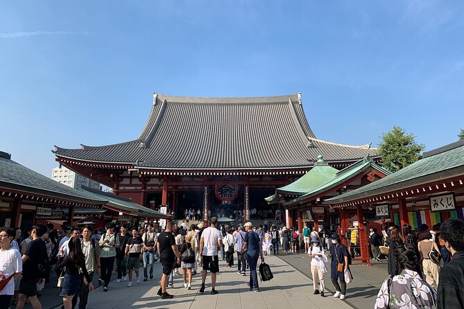 Tokyo Shibuya and Harajuku Walking Tour With A Guide - Meeting point, timing, and what the pace feels like
