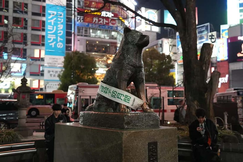 Tokyo: Shibuya Food Tour, Neon Lights & Local Flavors - Pace, what to wear, and how to enjoy it without rushing
