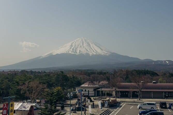 Tokyo: Shinjuku Historical Walking Tour & Secret Backstreets - Hanazono Shrine: A Quiet Reset After the Neon