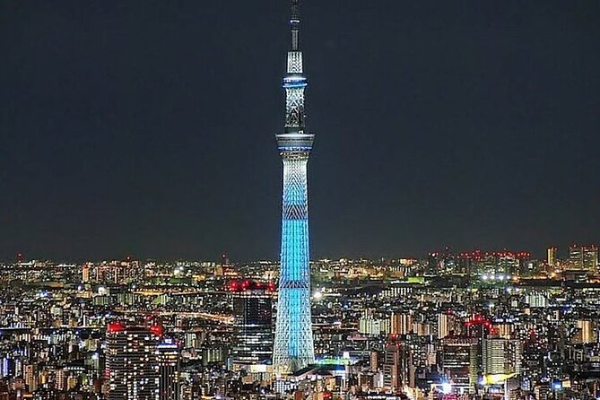 Tokyo Sightseeing/ City Tour by Private Car with English Guide - Key things to know before you go