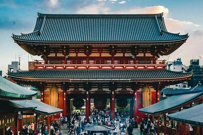 Tokyo Sightseeing/ City Tour by Private Car with English Guide - The private car experience: where it really helps
