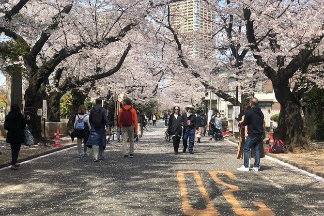 Tokyo Spring Daytime (Cherry Blossom) Food Tour - Starting at Coffee Room Renoir Nippori Yanaka (and why the meeting matters)