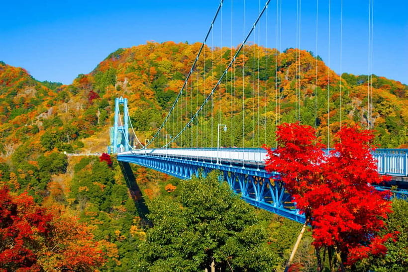Tokyo: Spring Hitachi Seaside & Ashikaga Flower Park Tour - Quick hits from this Tokyo to Hitachi and Ashikaga day trip
