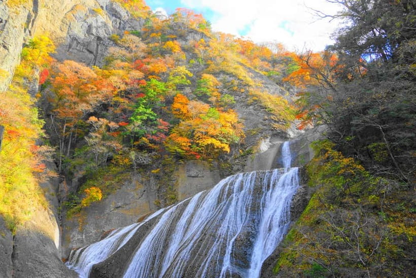 Tokyo: Spring Hitachi Seaside & Ashikaga Flower Park Tour - Price and Value: Is $98 a Fair Deal?