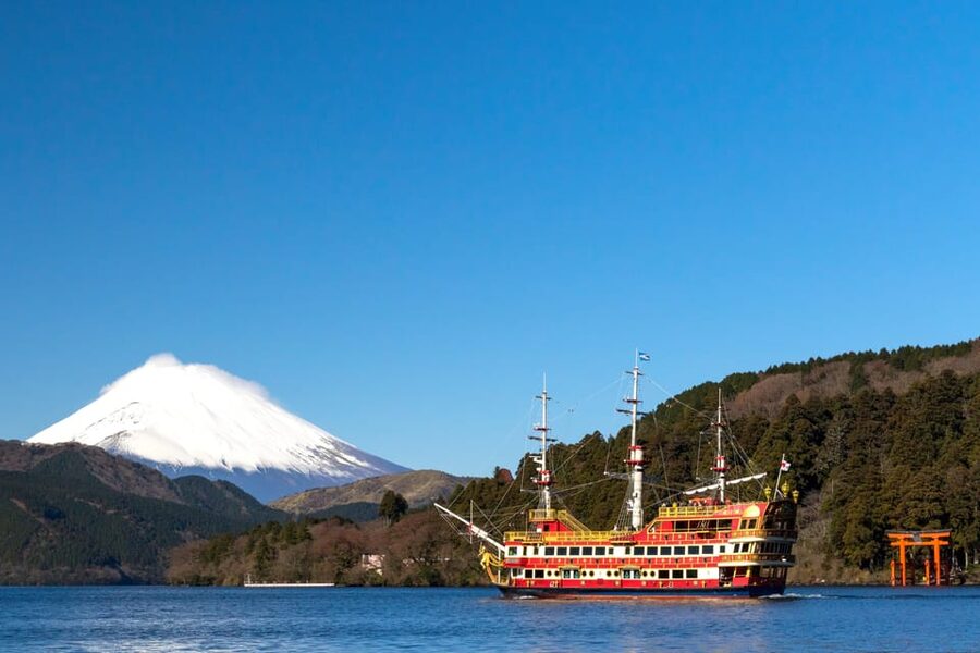 Tokyo: Spring Hitachi Seaside & Ashikaga Flower Park Tour - Who This Spring Flower Tour Suits Best