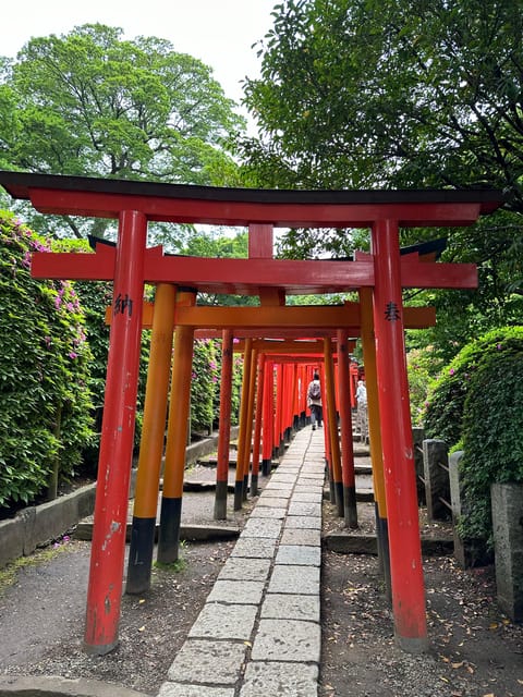 Tokyo:Stroll in Old traditional culture towns~Yanaka & Nezu - Who This Tour Suits (and Who Might Want Another Option)