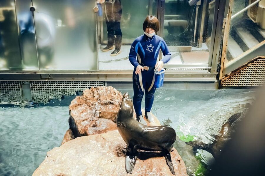 Tokyo: Sumida Aquarium Entry Ticket - Who this aquarium ticket suits best