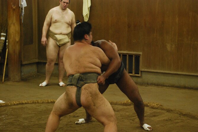 Tokyo: Sumo Morning Practice -Stable Visit Tour with a Guide - The Best Moment After Training: Questions and Photo Time
