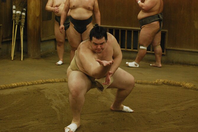 Tokyo: Sumo Morning Practice -Stable Visit Tour with a Guide - What the Special Brochure Adds (Besides Paper)