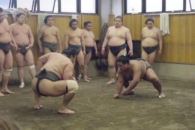 Tokyo Sumo Morning Practice Tour at Stable - Photos, Heat, and Comfort Tips You Can Use Immediately