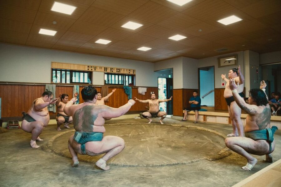 Tokyo: Sumo Morning Practice Tour at Sumida City - After practice: Q&A with the stable master and the photo chance