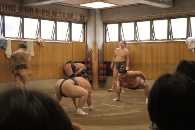 Tokyo Sumo Morning Practice Tour w/ Ring-Side Seat + Photo Shoot - Watching sumo training up close: what you actually see at the stable
