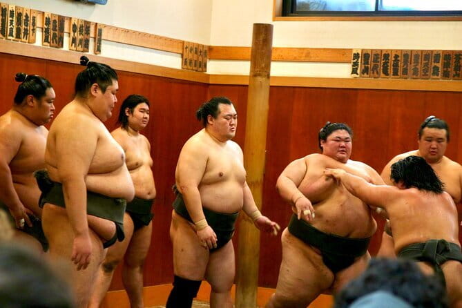 Tokyo Sumo Morning Practice: Viewing & Exclusive Interaction - Where This Starts, and Why the Location Matters (Narihira Park, Sumida)