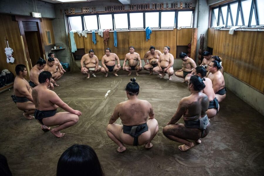 Tokyo: Sumo Morning Practice Viewing Tour - Who should book this Tokyo sumo practice tour