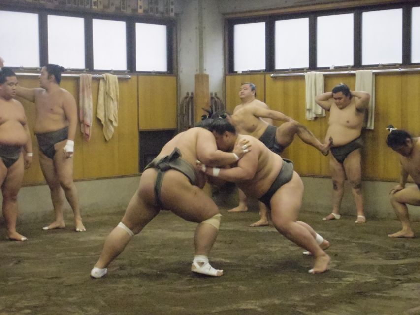 Tokyo: Sumo Morning Practice Viewing Tour - Entering a real sumo stable, not a show